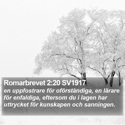Romarbrevet 2:20 SV1917 Bible Verse Image