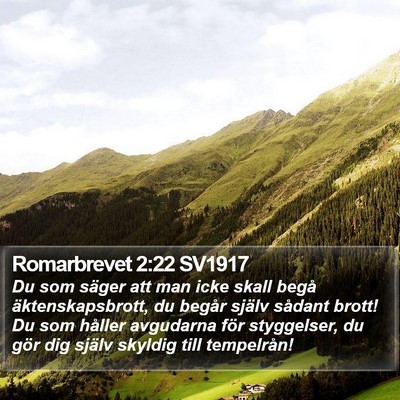 Romarbrevet 2:22 SV1917 Bible Verse Image