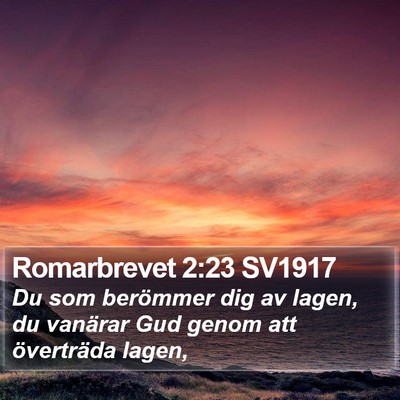 Romarbrevet 2:23 SV1917 Bible Verse Image