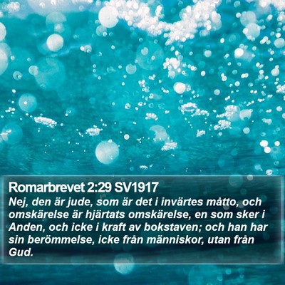 Romarbrevet 2:29 SV1917 Bible Verse Image
