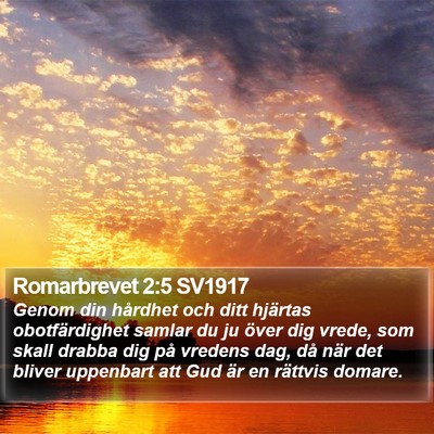 Romarbrevet 2:5 SV1917 Bible Verse Image