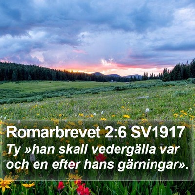 Romarbrevet 2:6 SV1917 Bible Verse Image