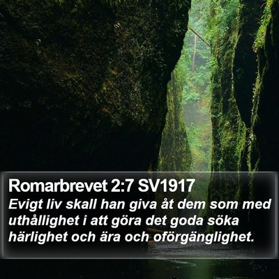 Romarbrevet 2:7 SV1917 Bible Verse Image