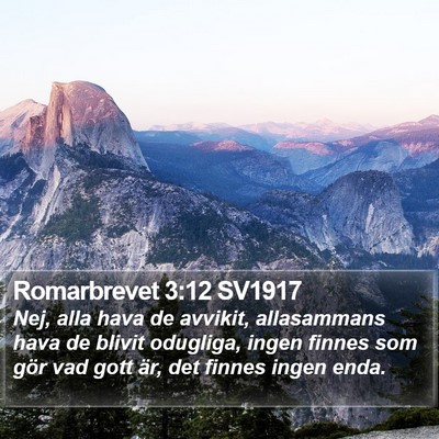 Romarbrevet 3:12 SV1917 Bible Verse Image