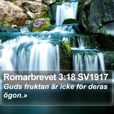 Romarbrevet 3:18 SV1917 Bible Verse Image