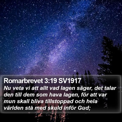 Romarbrevet 3:19 SV1917 Bible Verse Image