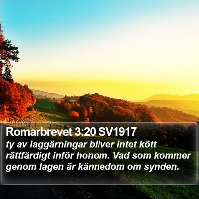 Romarbrevet 3:20 SV1917 Bible Verse Image