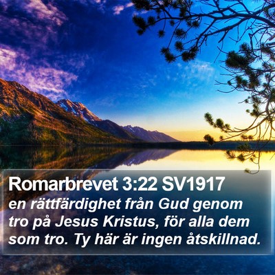 Romarbrevet 3:22 SV1917 Bible Verse Image