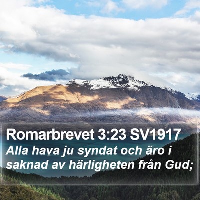 Romarbrevet 3:23 SV1917 Bible Verse Image