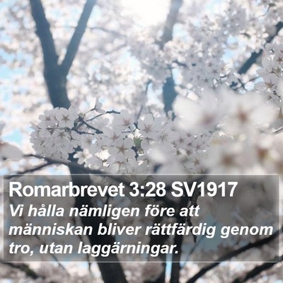 Romarbrevet 3:28 SV1917 Bible Verse Image