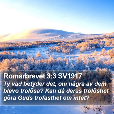 Romarbrevet 3:3 SV1917 Bible Verse Image