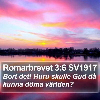 Romarbrevet 3:6 SV1917 Bible Verse Image