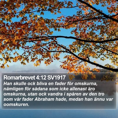 Romarbrevet 4:12 SV1917 Bible Verse Image