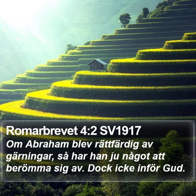 Romarbrevet 4:2 SV1917 Bible Verse Image