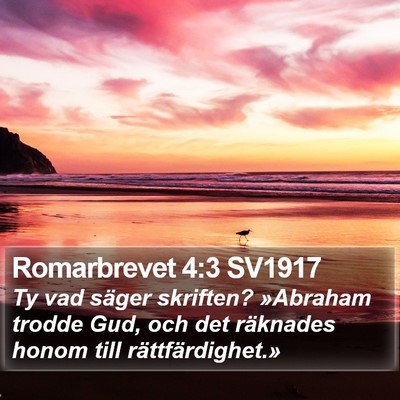 Romarbrevet 4:3 SV1917 Bible Verse Image