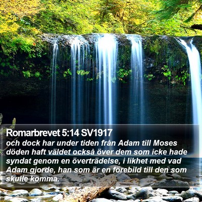 Romarbrevet 5:14 SV1917 Bible Verse Image