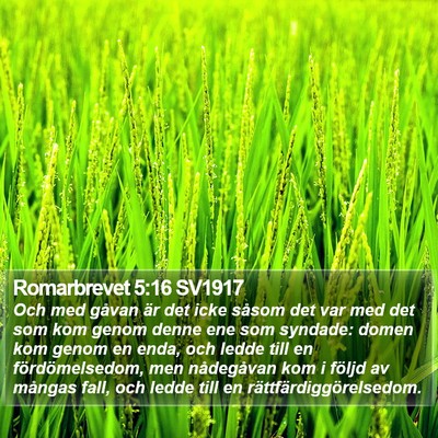 Romarbrevet 5:16 SV1917 Bible Verse Image