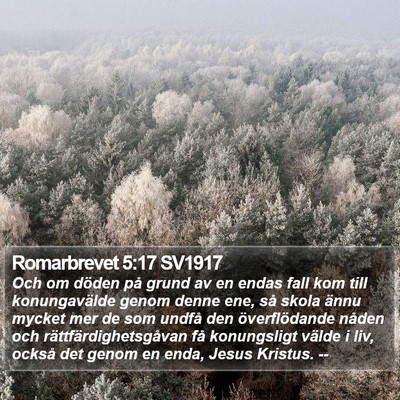 Romarbrevet 5:17 SV1917 Bible Verse Image