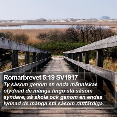 Romarbrevet 5:19 SV1917 Bible Verse Image