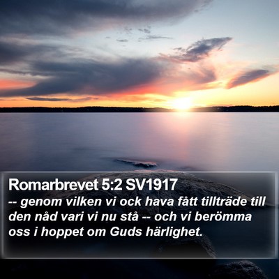 Romarbrevet 5:2 SV1917 Bible Verse Image