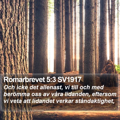 Romarbrevet 5:3 SV1917 Bible Verse Image