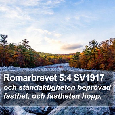 Romarbrevet 5:4 SV1917 Bible Verse Image