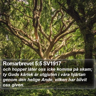 Romarbrevet 5:5 SV1917 Bible Verse Image