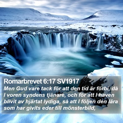Romarbrevet 6:17 SV1917 Bible Verse Image