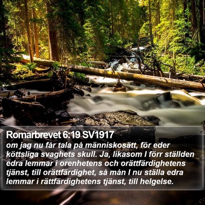 Romarbrevet 6:19 SV1917 Bible Verse Image