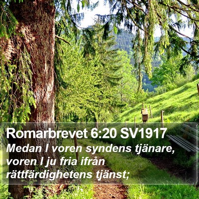 Romarbrevet 6:20 SV1917 Bible Verse Image