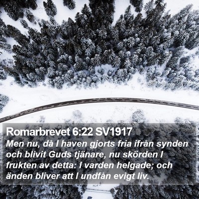 Romarbrevet 6:22 SV1917 Bible Verse Image