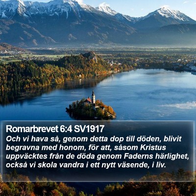 Romarbrevet 6:4 SV1917 Bible Verse Image