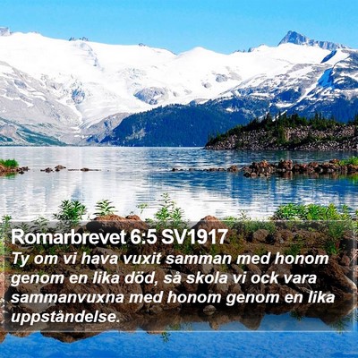 Romarbrevet 6:5 SV1917 Bible Verse Image