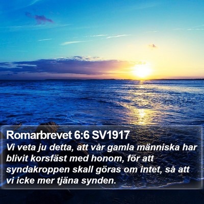 Romarbrevet 6:6 SV1917 Bible Verse Image