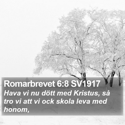 Romarbrevet 6:8 SV1917 Bible Verse Image