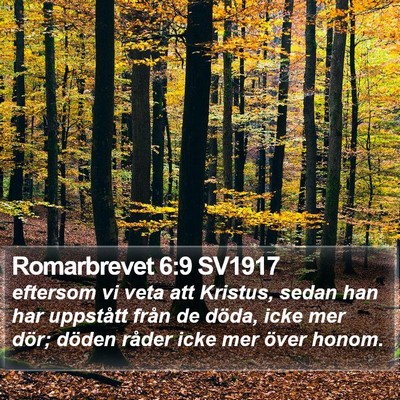 Romarbrevet 6:9 SV1917 Bible Verse Image