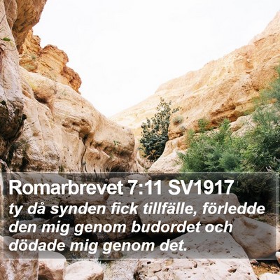 Romarbrevet 7:11 SV1917 Bible Verse Image