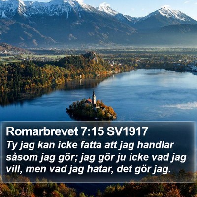 Romarbrevet 7:15 SV1917 Bible Verse Image