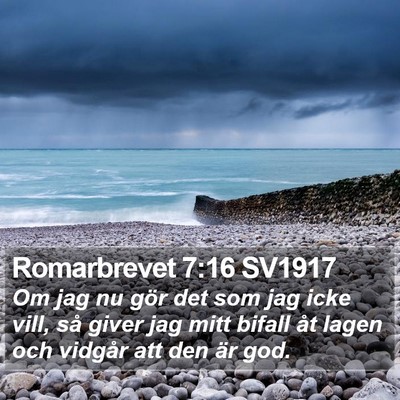 Romarbrevet 7:16 SV1917 Bible Verse Image