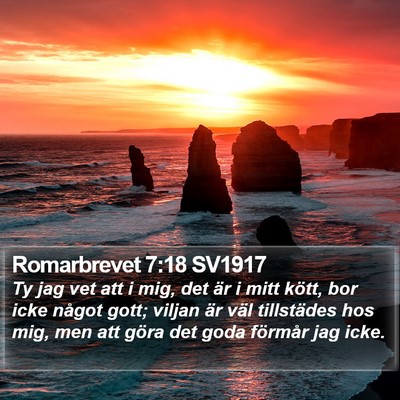 Romarbrevet 7:18 SV1917 Bible Verse Image
