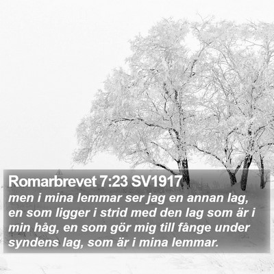 Romarbrevet 7:23 SV1917 Bible Verse Image