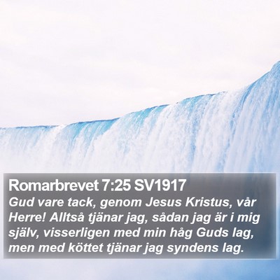Romarbrevet 7:25 SV1917 Bible Verse Image