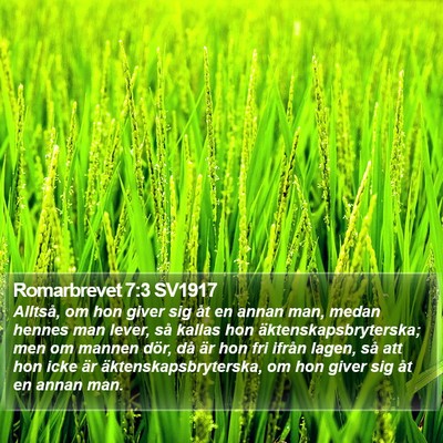 Romarbrevet 7:3 SV1917 Bible Verse Image