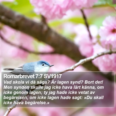 Romarbrevet 7:7 SV1917 Bible Verse Image