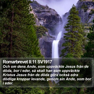 Romarbrevet 8:11 SV1917 Bible Verse Image