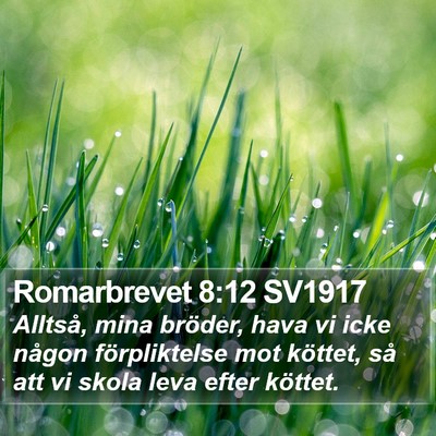 Romarbrevet 8:12 SV1917 Bible Verse Image