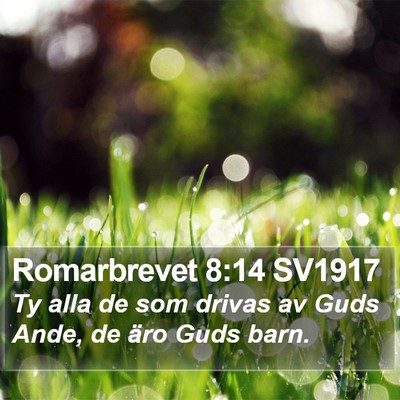 Romarbrevet 8:14 SV1917 Bible Verse Image
