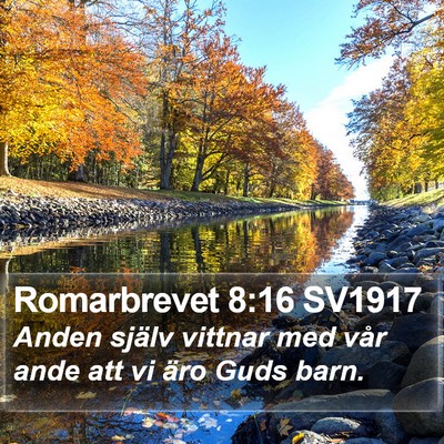 Romarbrevet 8:16 SV1917 Bible Verse Image