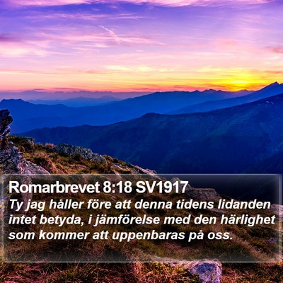 Romarbrevet 8:18 SV1917 Bible Verse Image