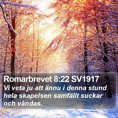 Romarbrevet 8:22 SV1917 Bible Verse Image